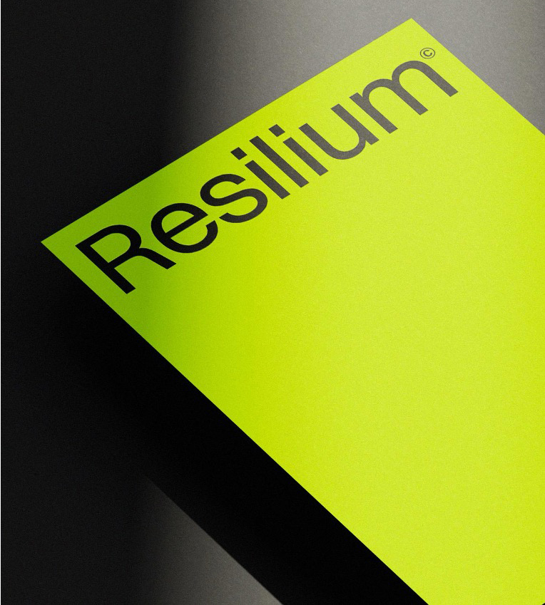 refonte de l'identité du groupe Résilium pour la refonte du site internet par l'agence web WEB IDEA